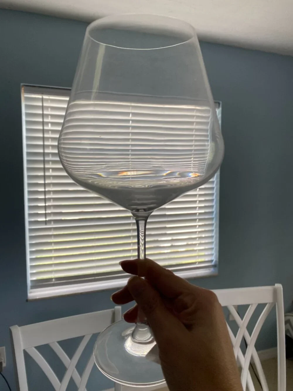 New Crate and Barrel Hip 31-Oz. Large Red Wine Glass, set of 2